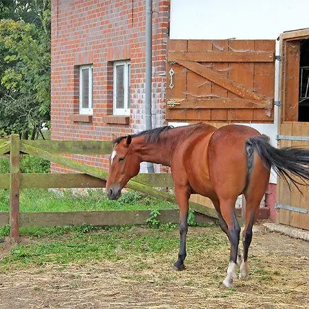 Ferienwohnung Kniep 7931 Szálloda *