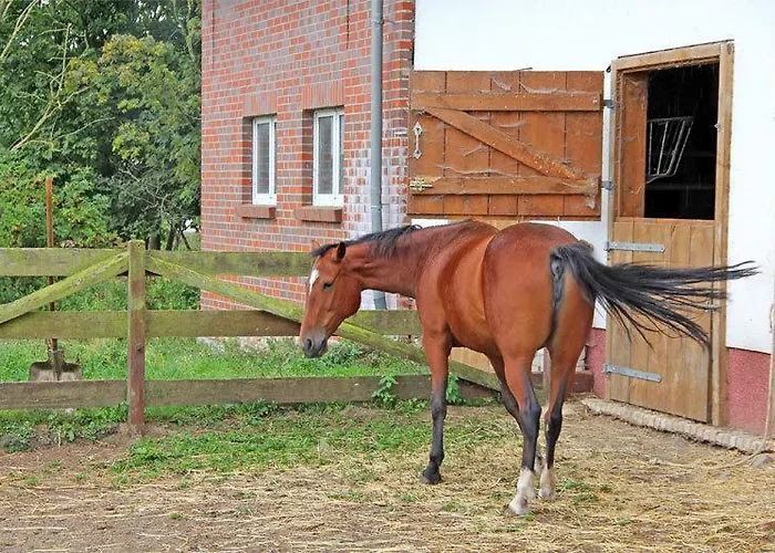 Ferienwohnung Kniep 7931 Hotel *